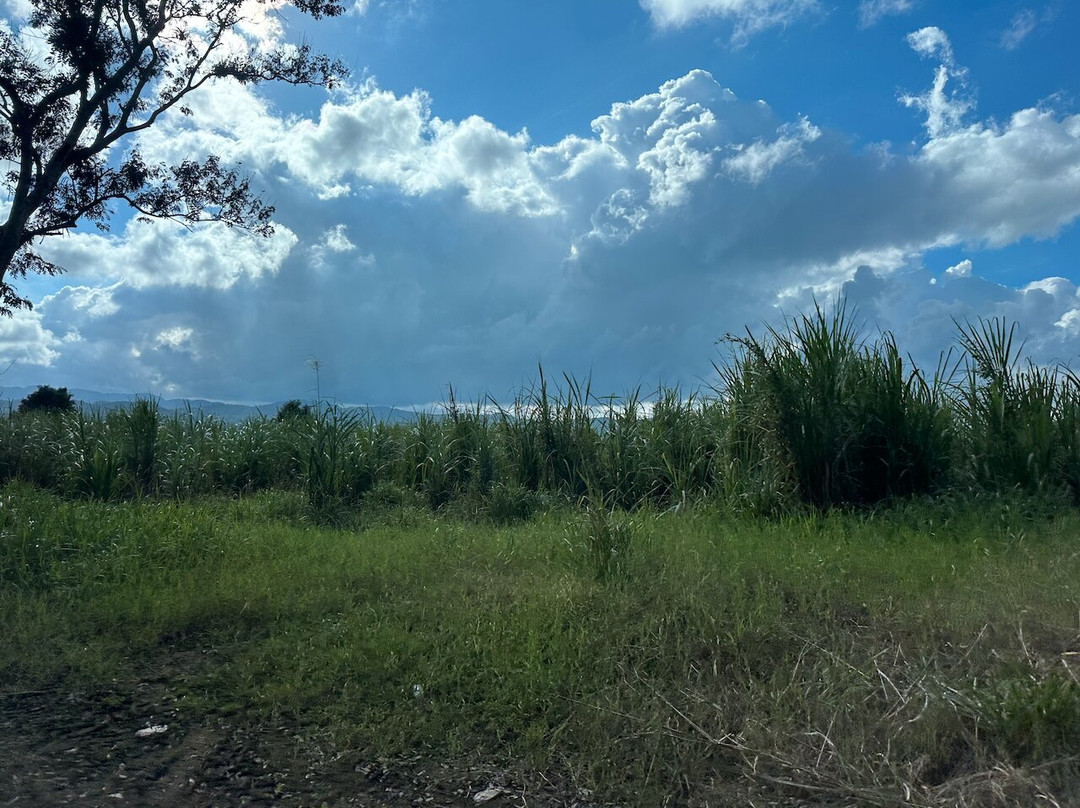 Ken's Dream Vacation-蒙特戈贝必去景点