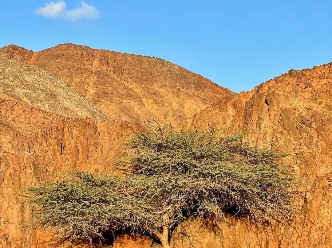 Marsa Alam Egypt-马萨阿拉姆必去景点