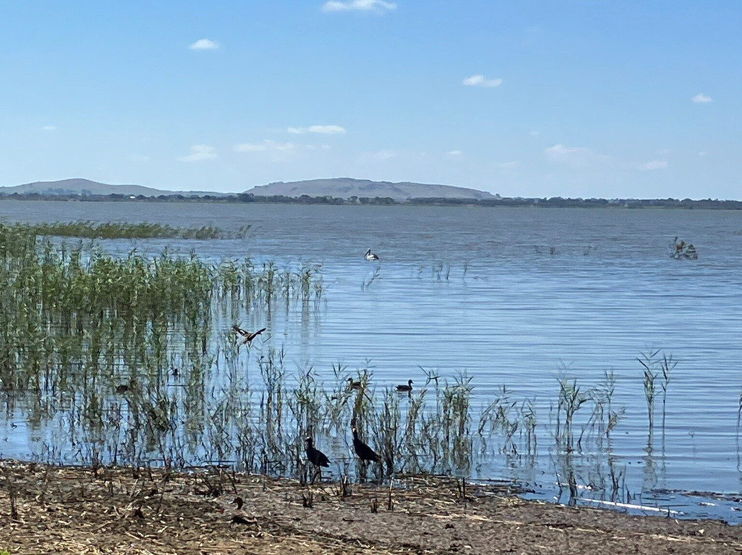 Lake Colac-科拉克必去景点