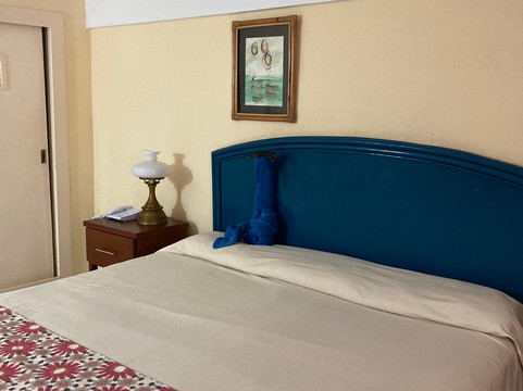 Starfish Jibacoa主图