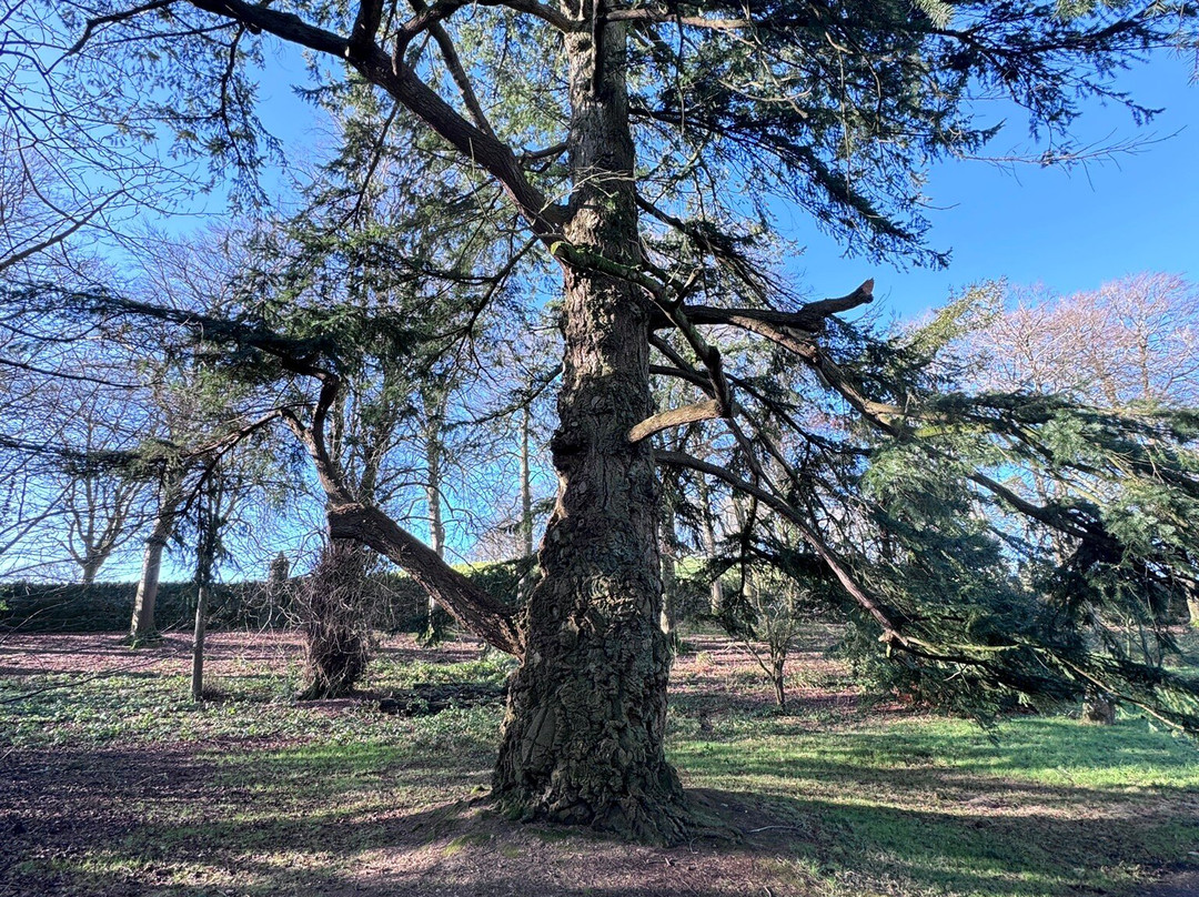 Rowallane Garden-Saintfield必去景点