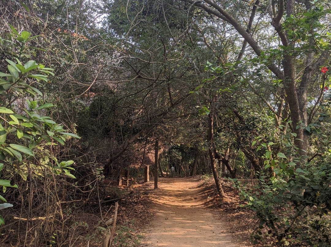 Sadhana Forest-Auroville必去景点