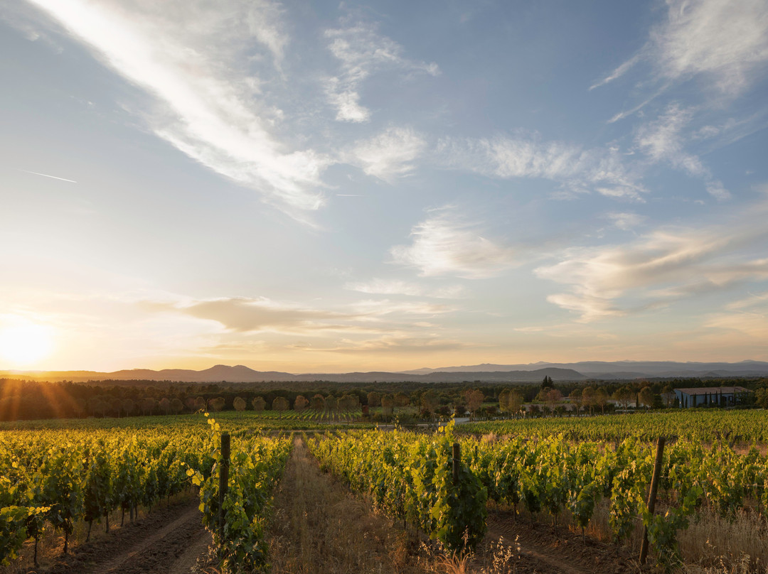 Les Mayons酒店住宿-Ultimate Provence