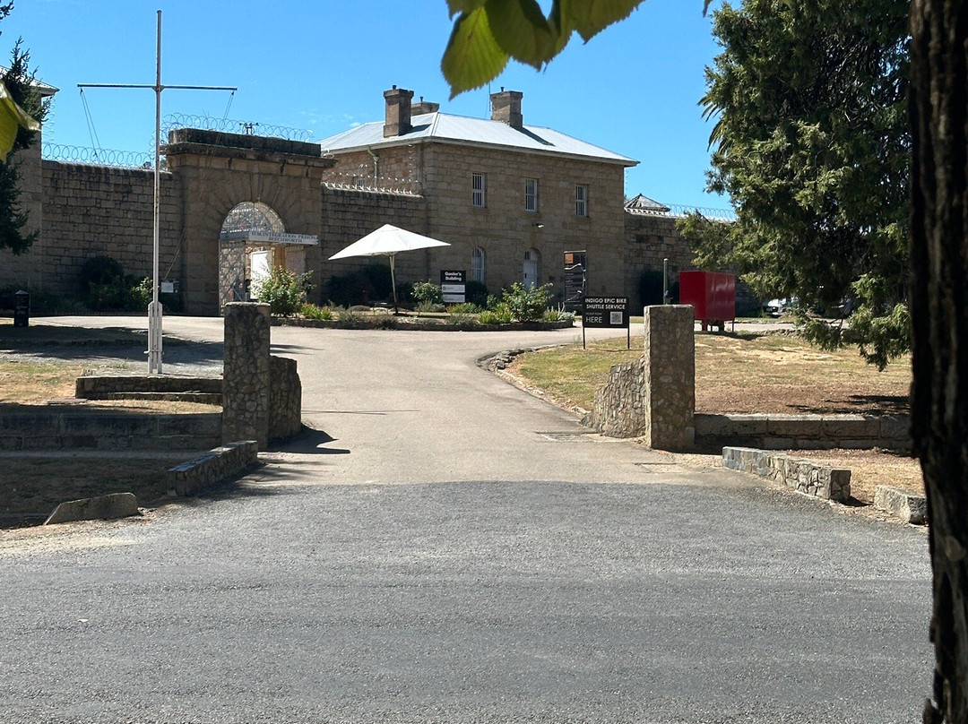 Ned Kelly Guided Walking Tour-比奇沃思必去景点