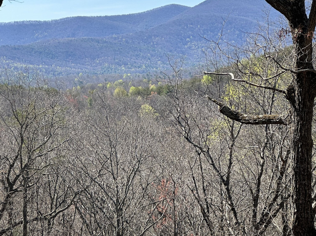 Barefoot Hills主图