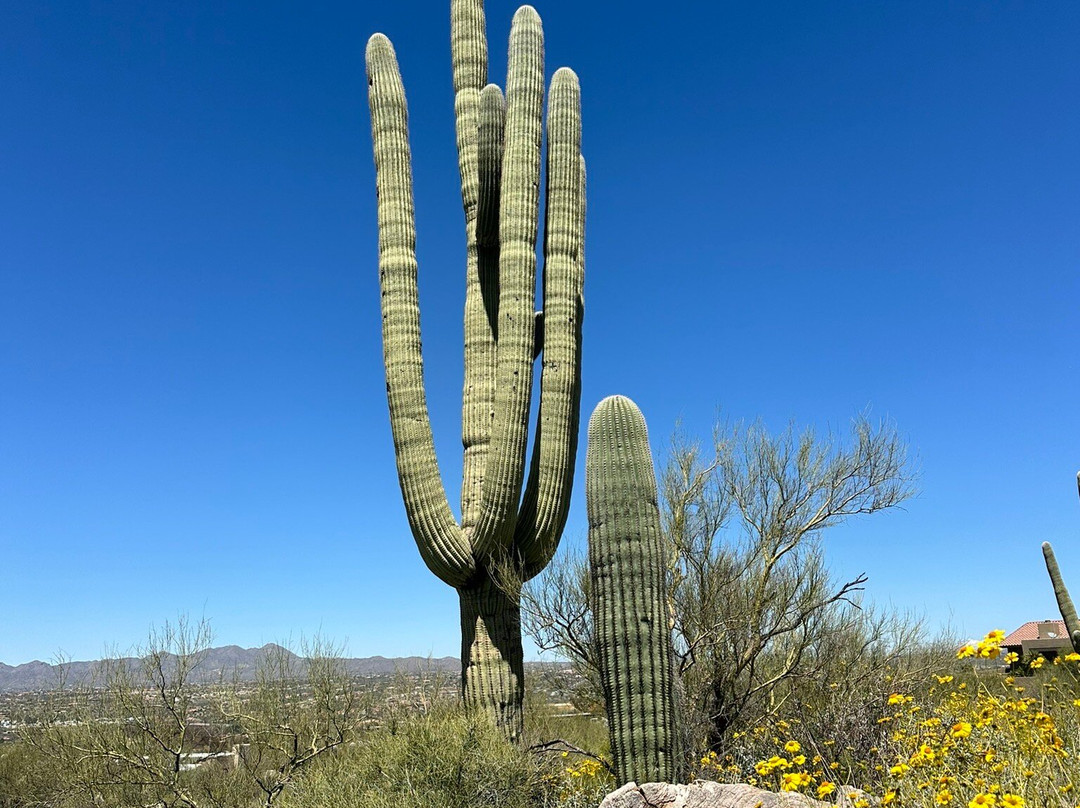 Linda Vista Trail-Oro Valley必去景点