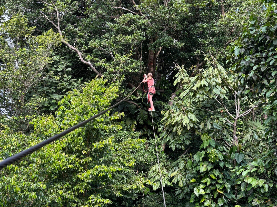 Le Tapeur-Pointe-Noire必去景点