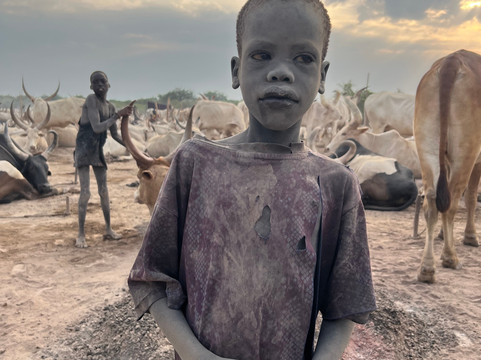 Metro Safaris-Juba必去景点