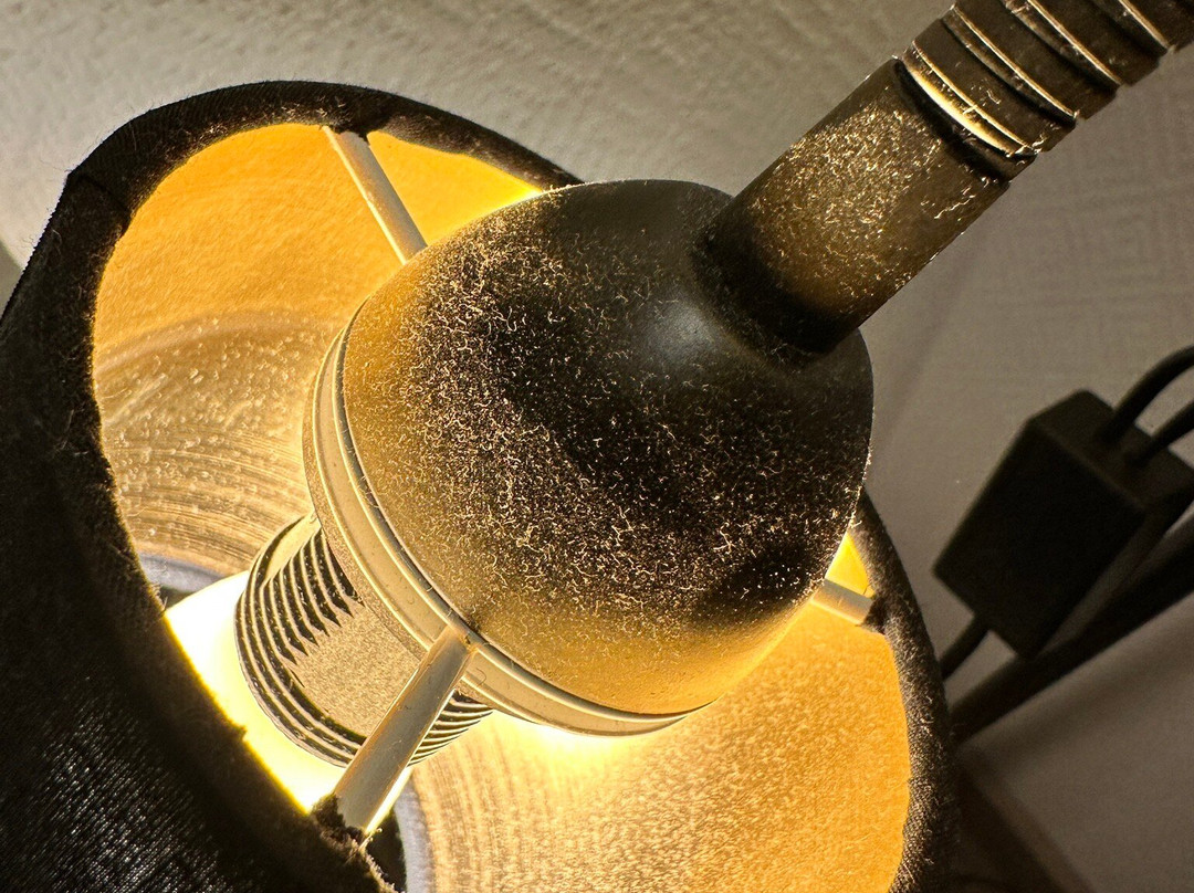 Bernstein Salzland Center主图