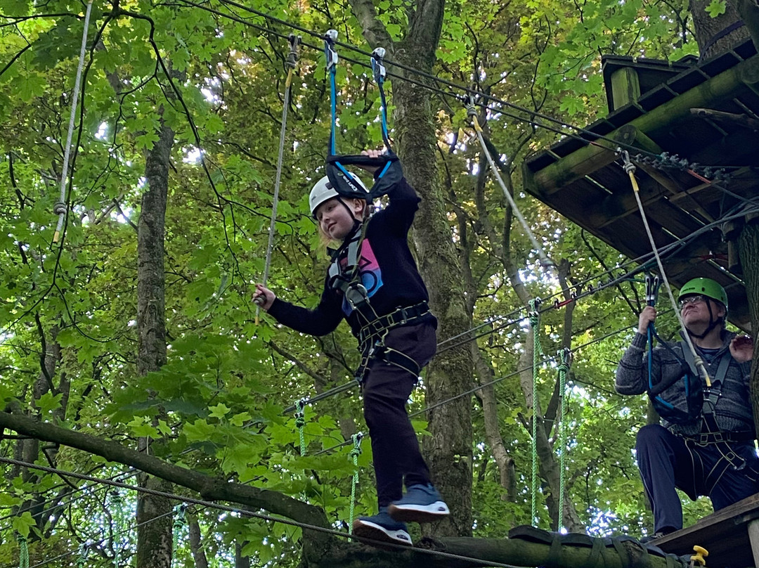 Raven Tree Top Adventure景点图片