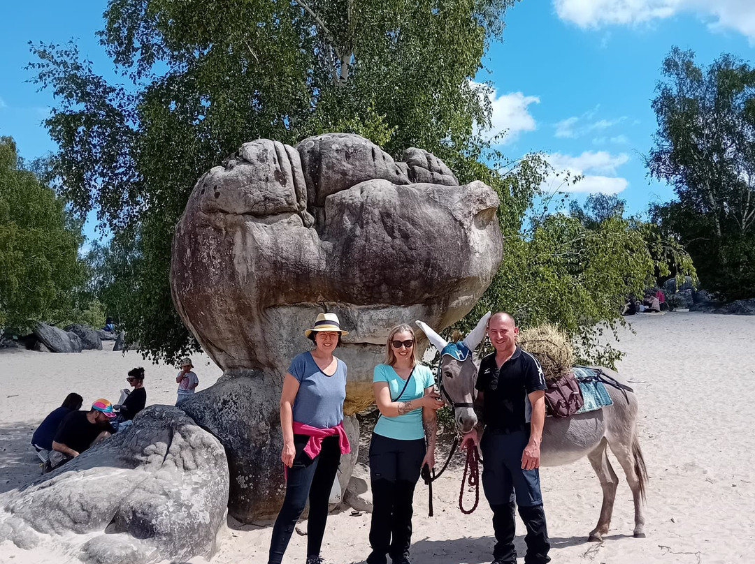 Fontanebleau-Acheres-la-Foret必去景点