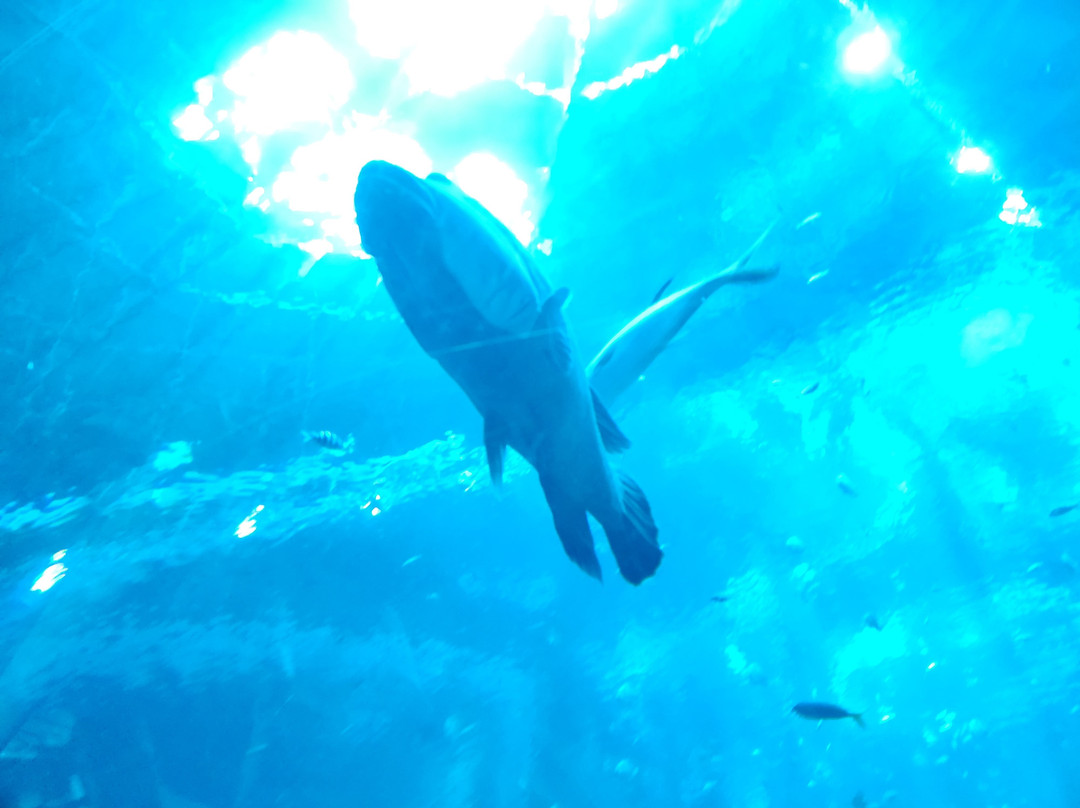 Vinpearl Wonderworld Phu Quoc主图