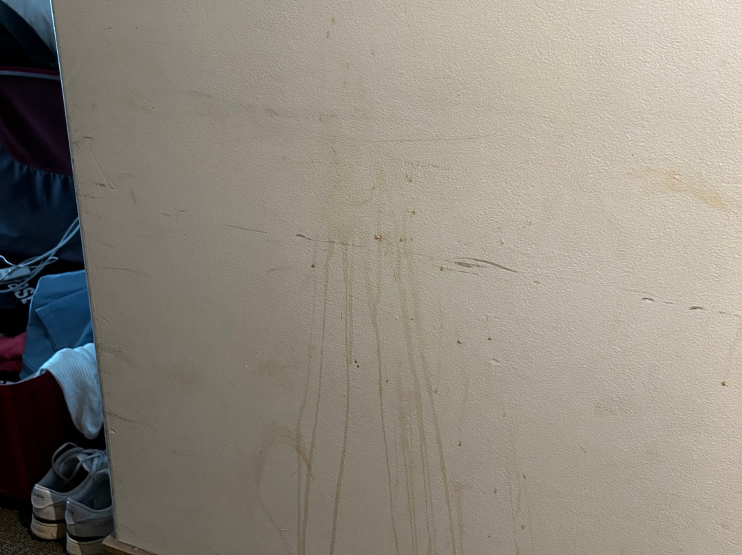 Hotel Coral Reef Resort主图