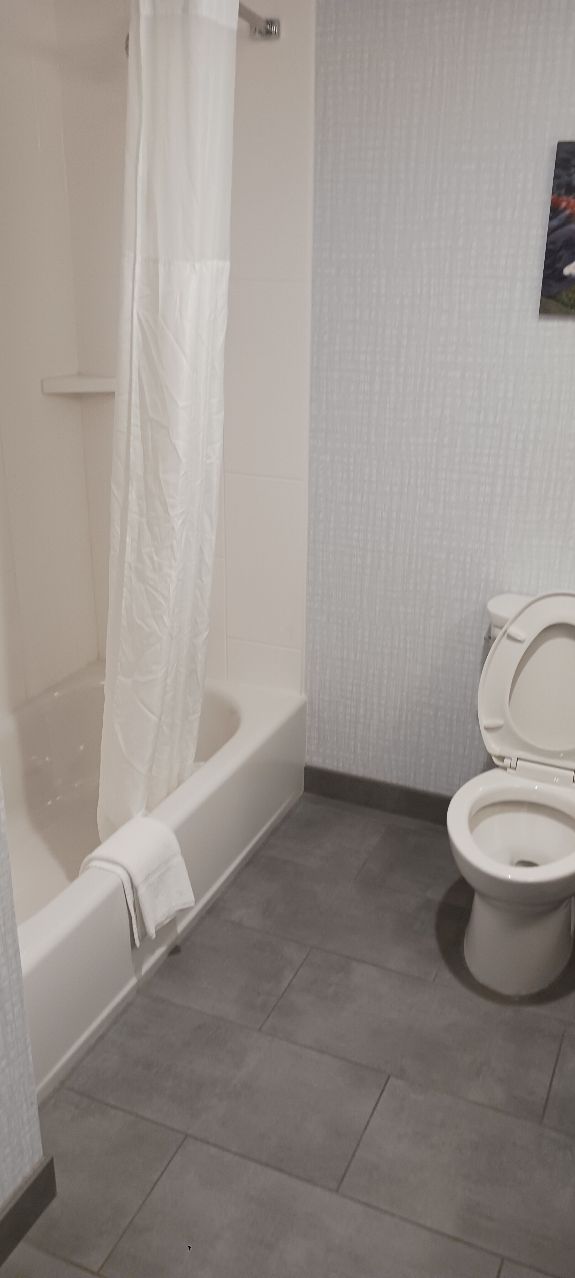Hampton Inn & Suites Erie Bayfront-客卧