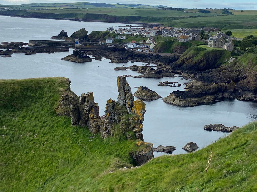 St Abbs Head National Nature Reserve景点图片