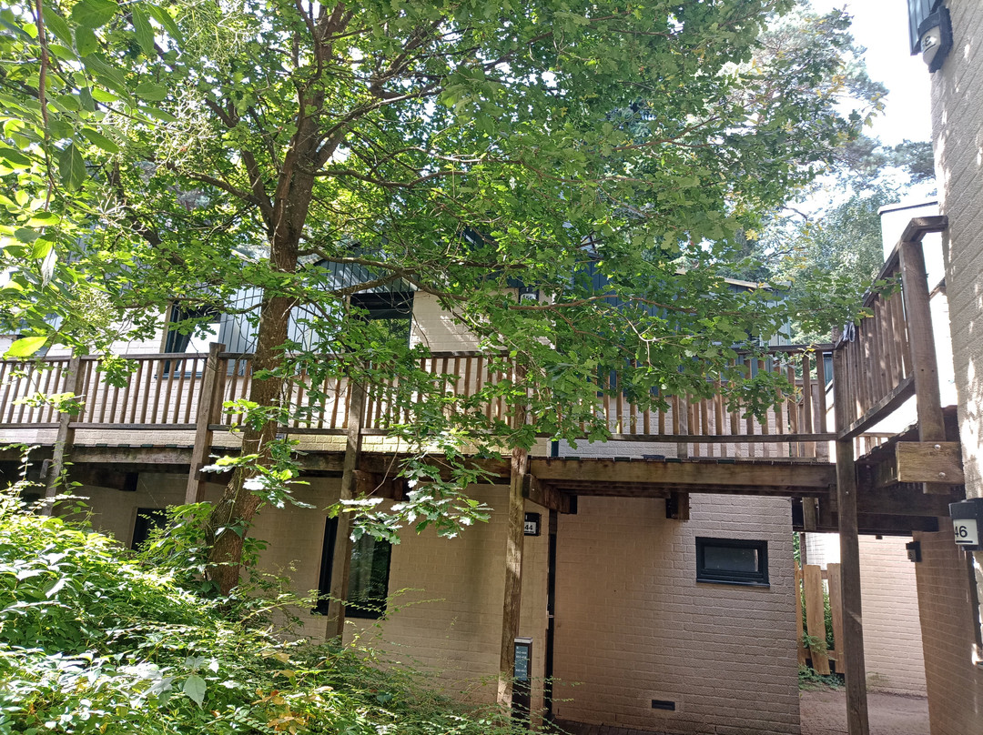 Center Parcs Erperheide主图