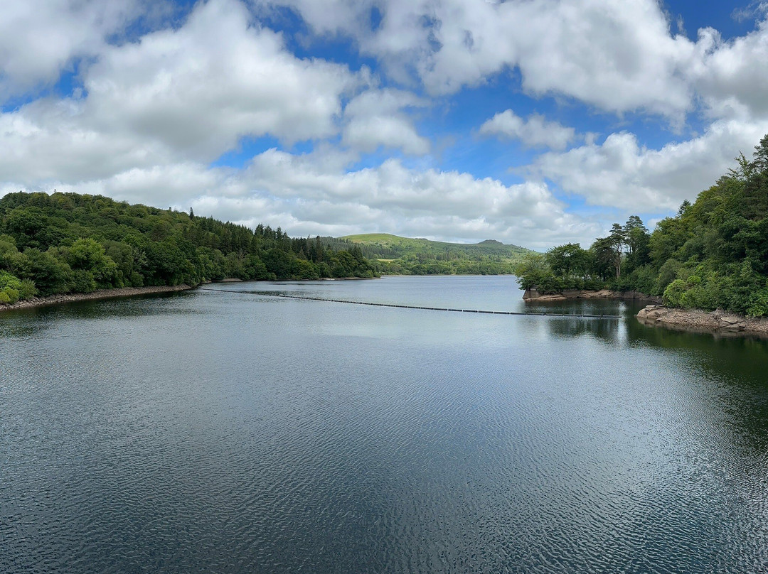 Burrator Reservoir景点图片