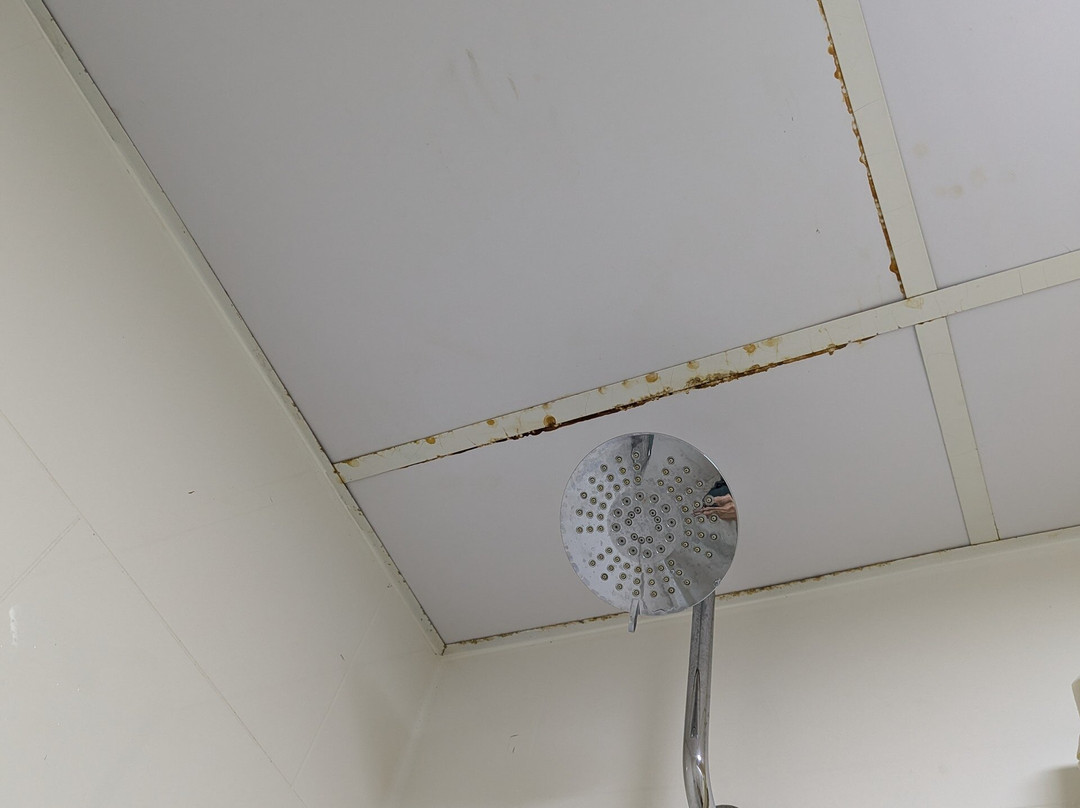 Best Western Inn主图