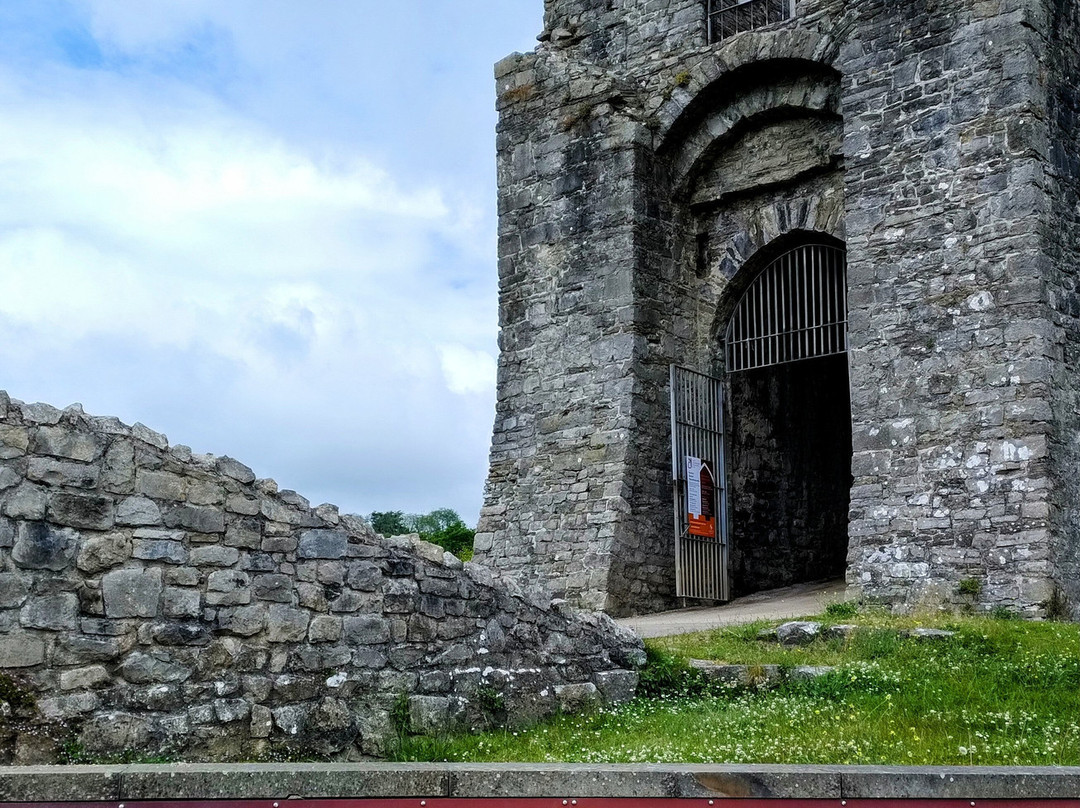 Oystermouth Castle景点图片