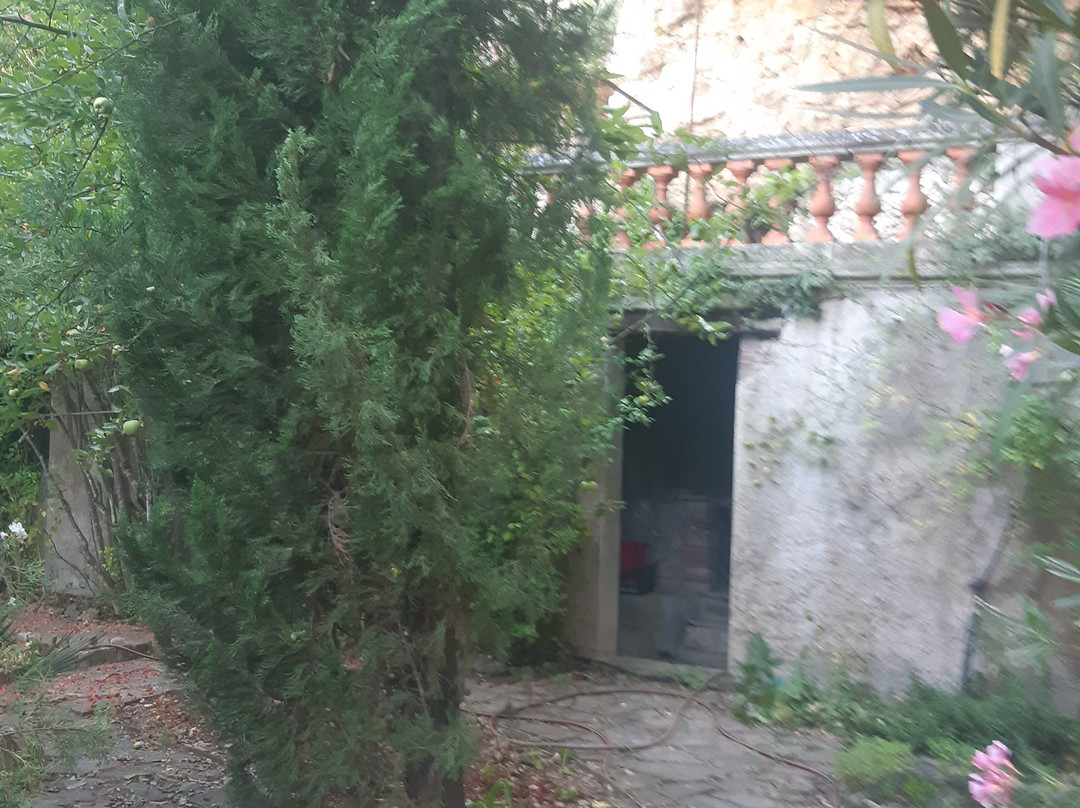 La Petite Nice主图