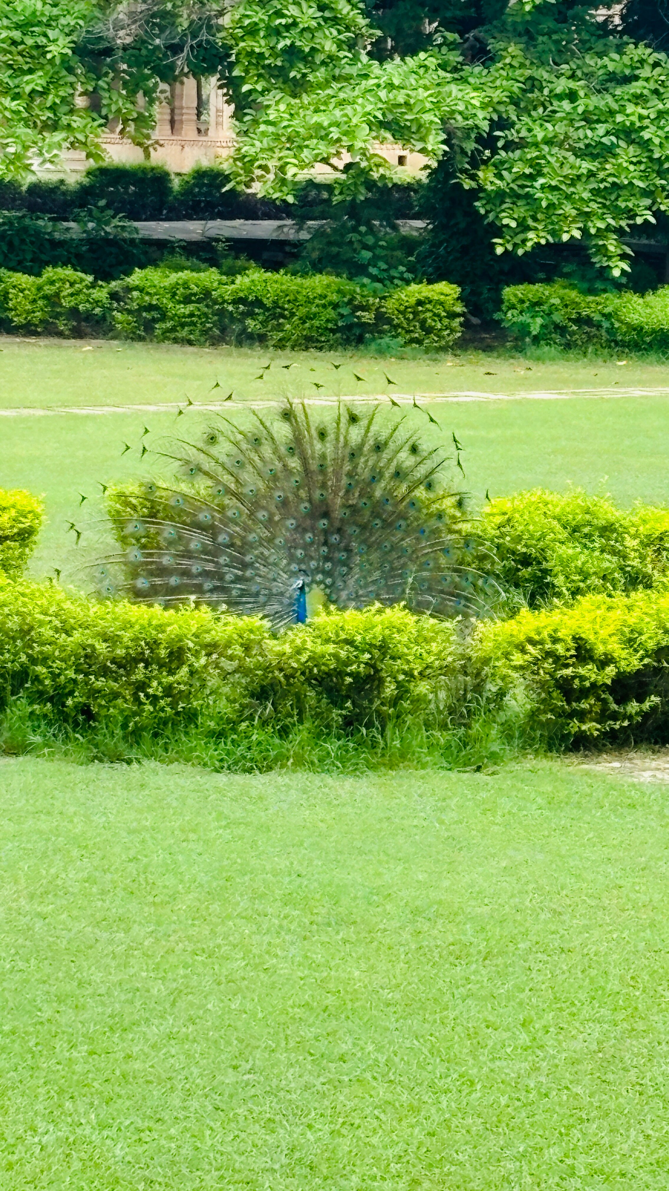 尼姆拉纳斯 - 迪奥巴格酒店-酒店景观