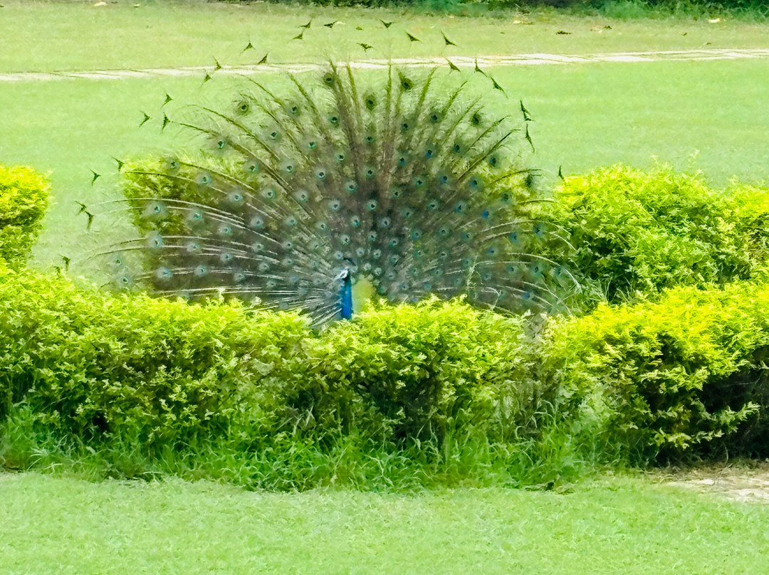 尼姆拉纳斯 - 迪奥巴格酒店主图