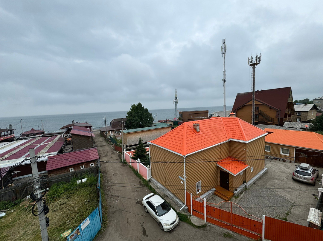 Baikal Cedar主图