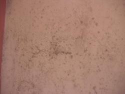 如家酒店·neo(汉中中心广场北大街店)主图