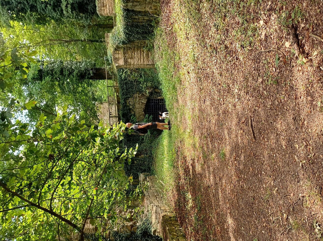 Klosterruine Disibodenberg (Hildegard von Bingen)景点图片