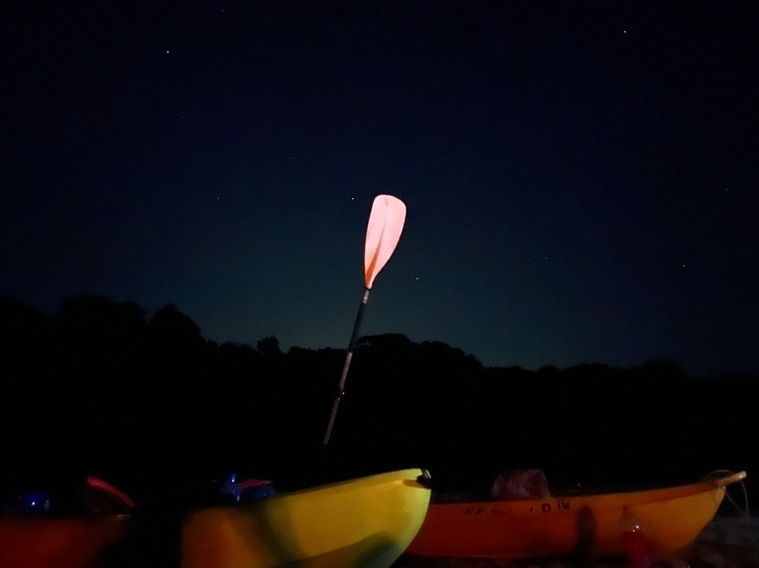 EcoGrip Boathouse-Baddegama必去景点