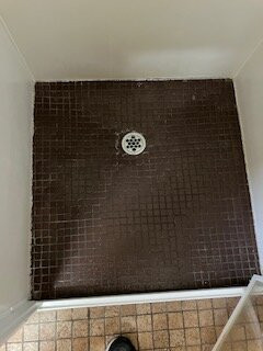 Melaleuca Motel主图