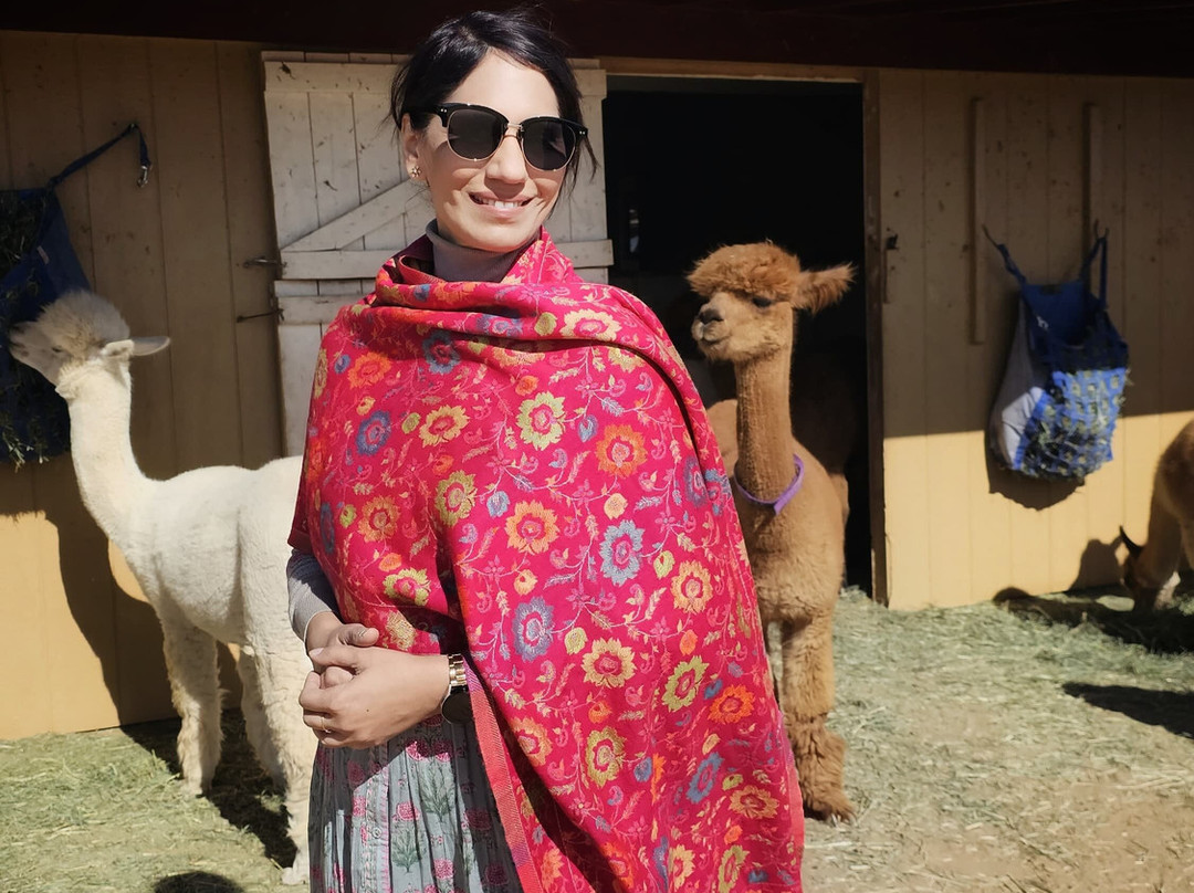 Que Sera Alpaca-圣菲必去景点