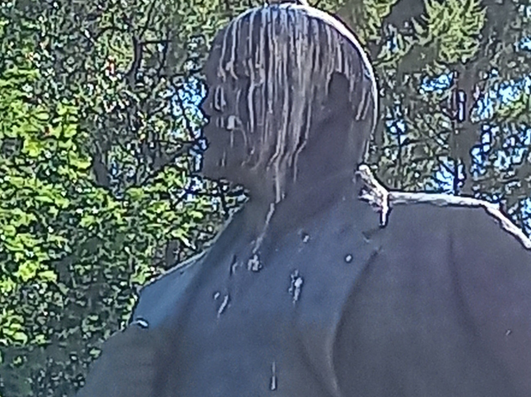 Bell Tower of The Church of The Transfiguration-Ostashkov必去景点