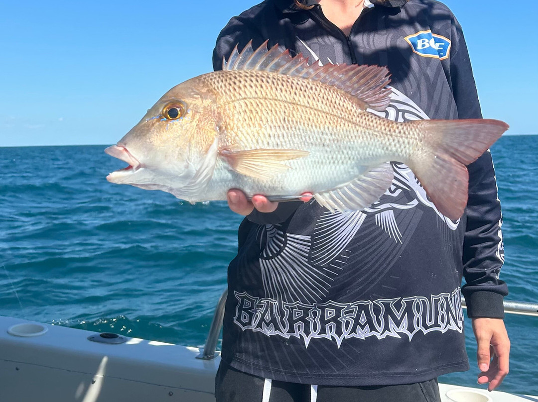 Dundee Beach Fishing Charters景点图片