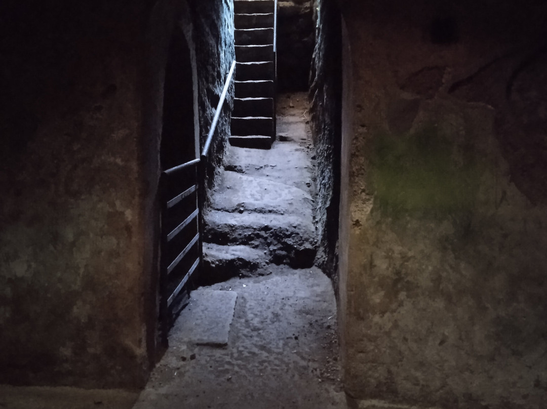 Area Archeologica di Poggio Moscini景点图片
