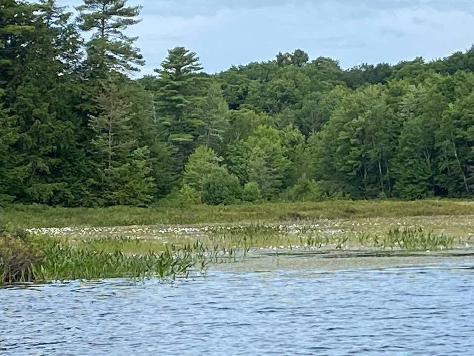 H&H Restaurant And Resort主图