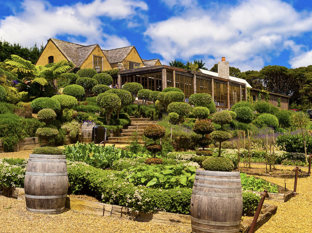 Waiheke Island Wine Tours景点图片