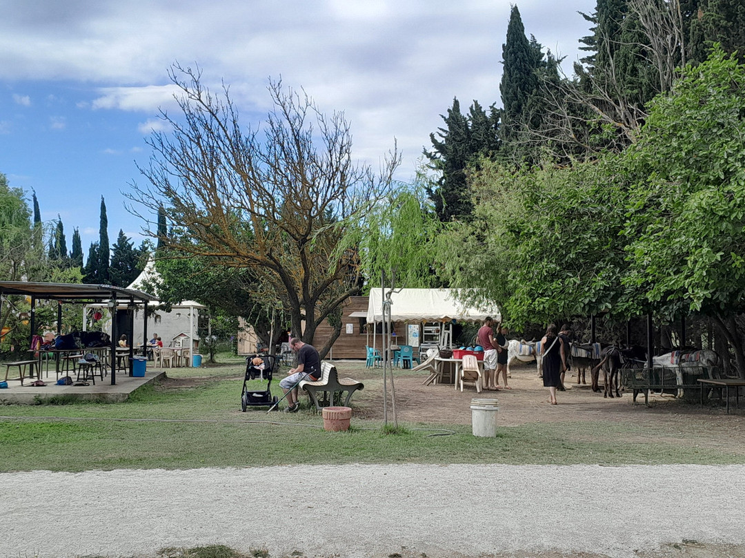 La Ferme aux Grandes Oreilles景点图片