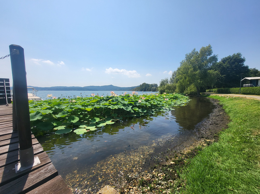 Lago di Viverone景点图片