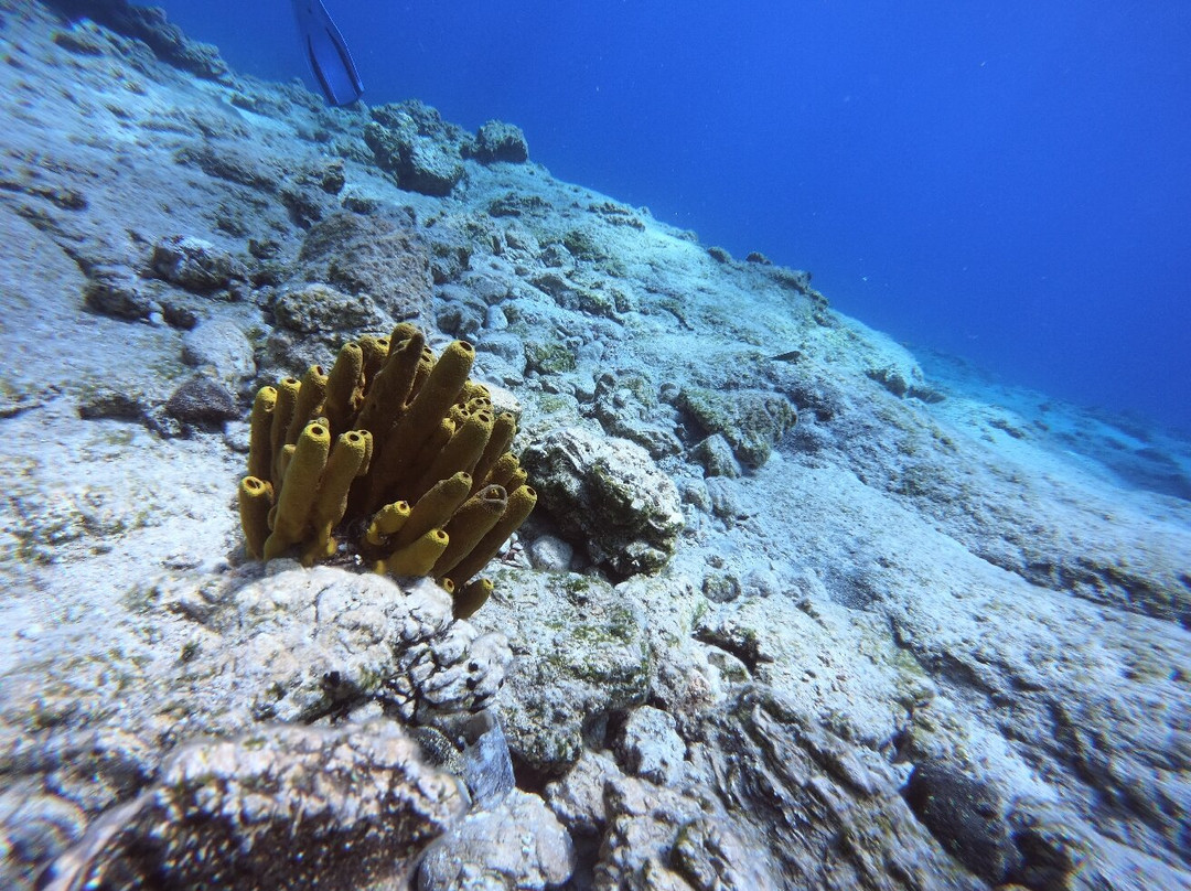 Erman Dive Center景点图片