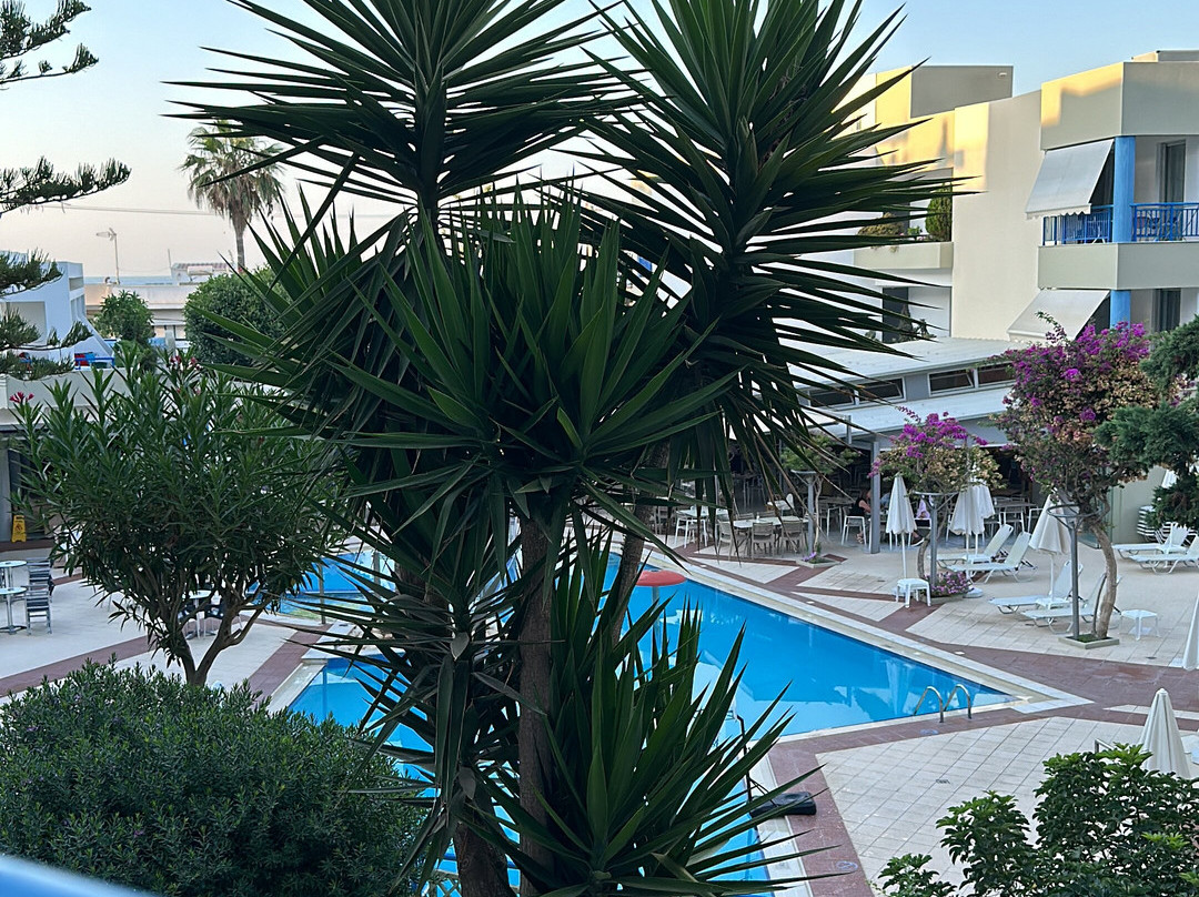 Ibiscos Garden Hotel主图