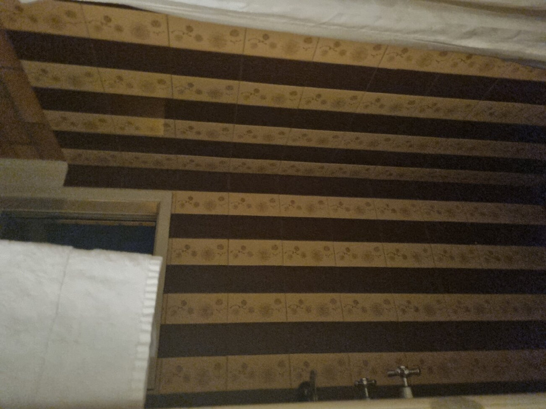 Avocado Motor Inn主图