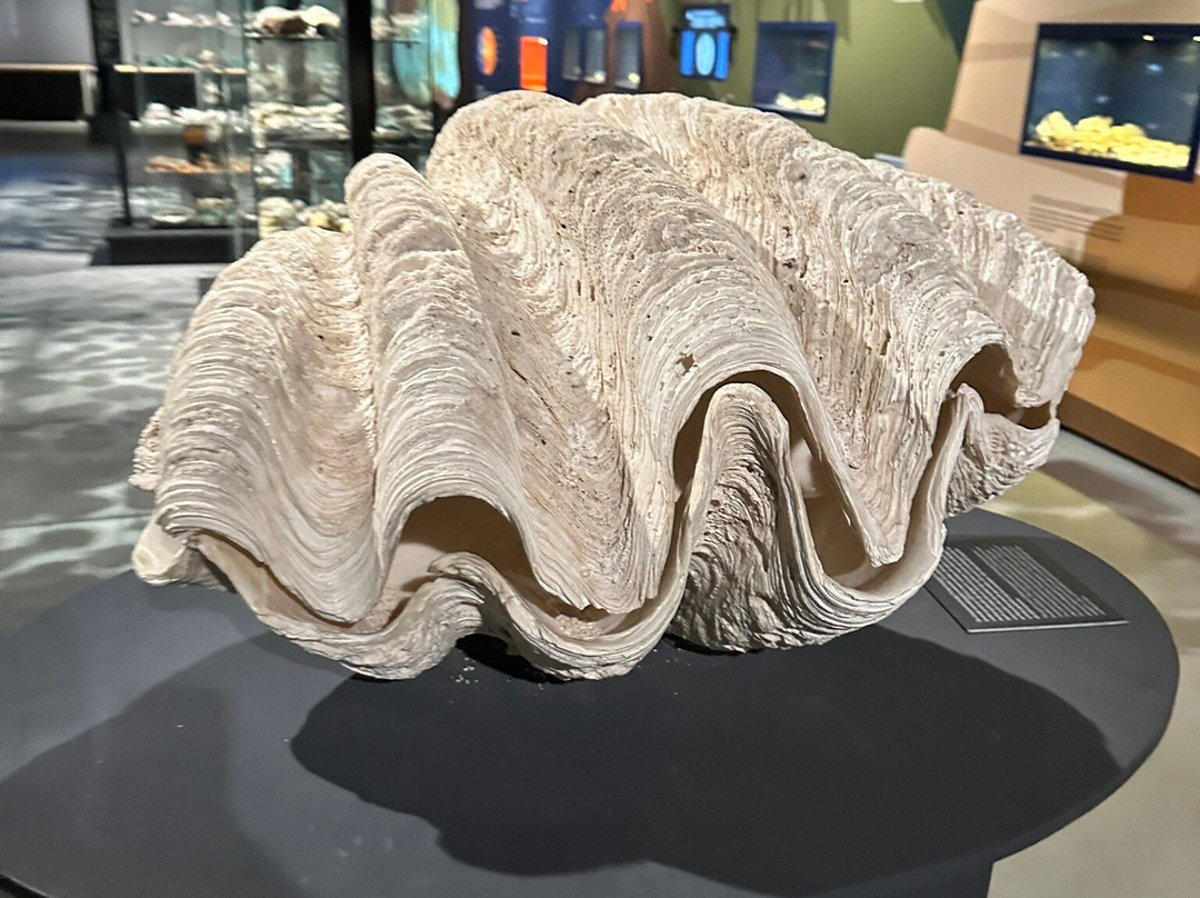 Muzeeaquarium Delfzijl-Delfzijl必去景点