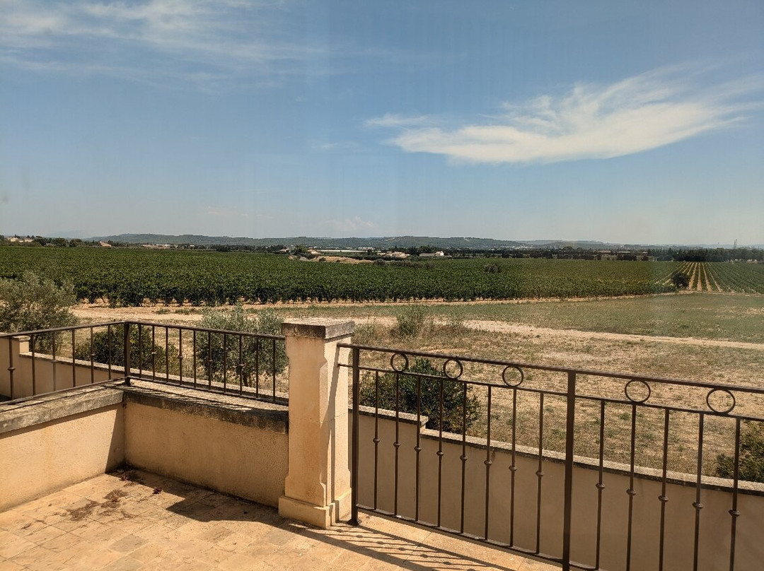 Chateau Virant景点图片