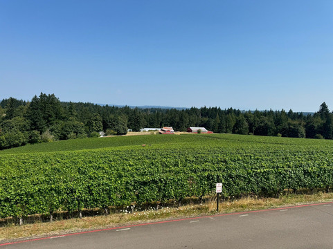 Hawks View Winery-Sherwood必去景点