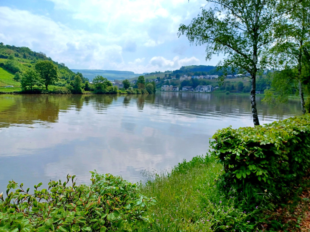 Moselle Valley-Grevenmacher必去景点