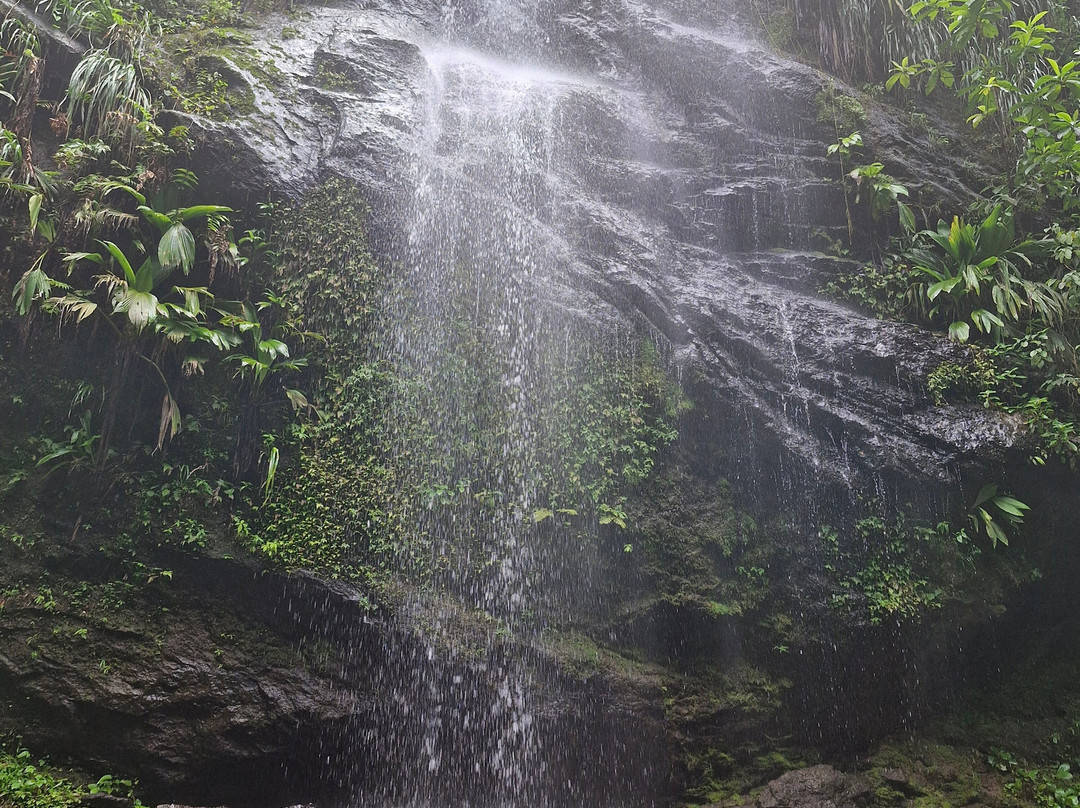 Cascade Couleuvre-Le Precheur必去景点