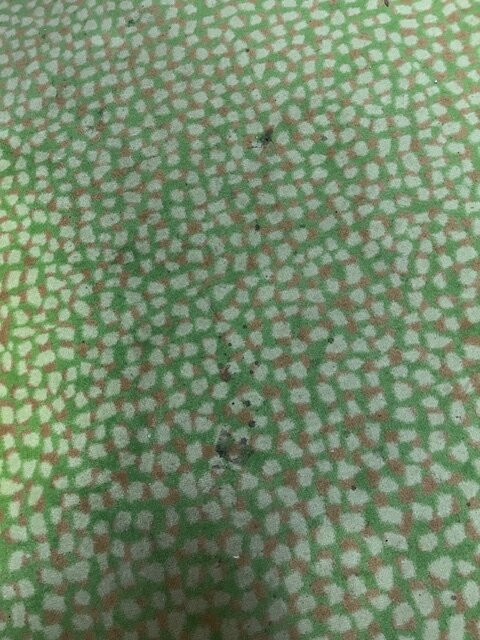 瓦尔特家庭酒店主图