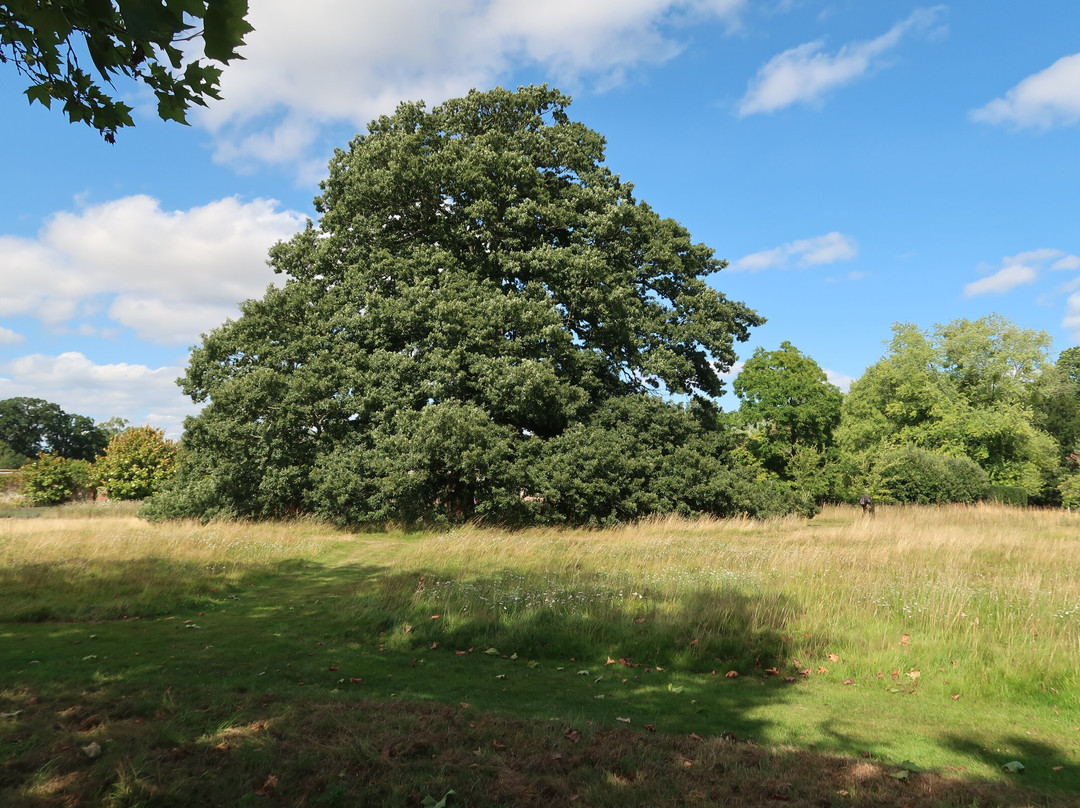 Stratfield Saye House景点图片