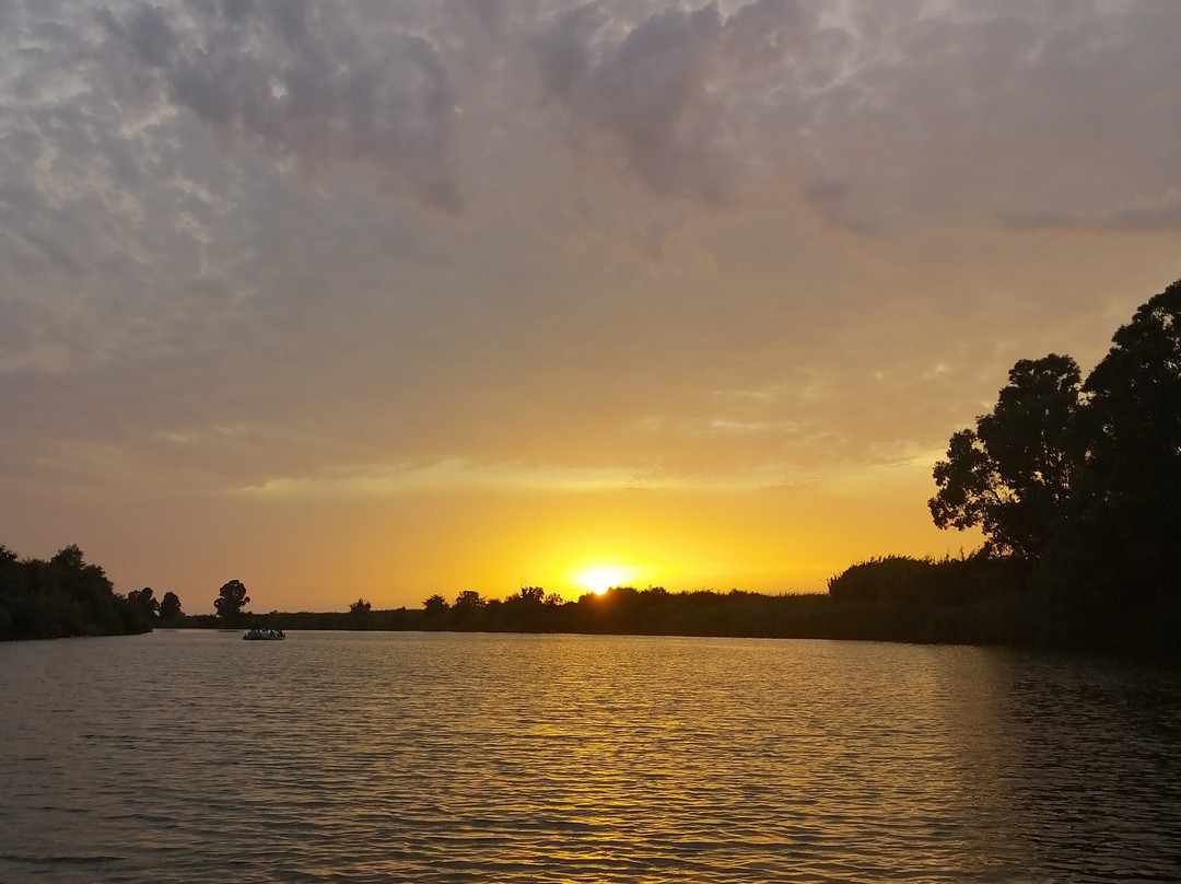 Canoe nel Parco della Maremma景点图片